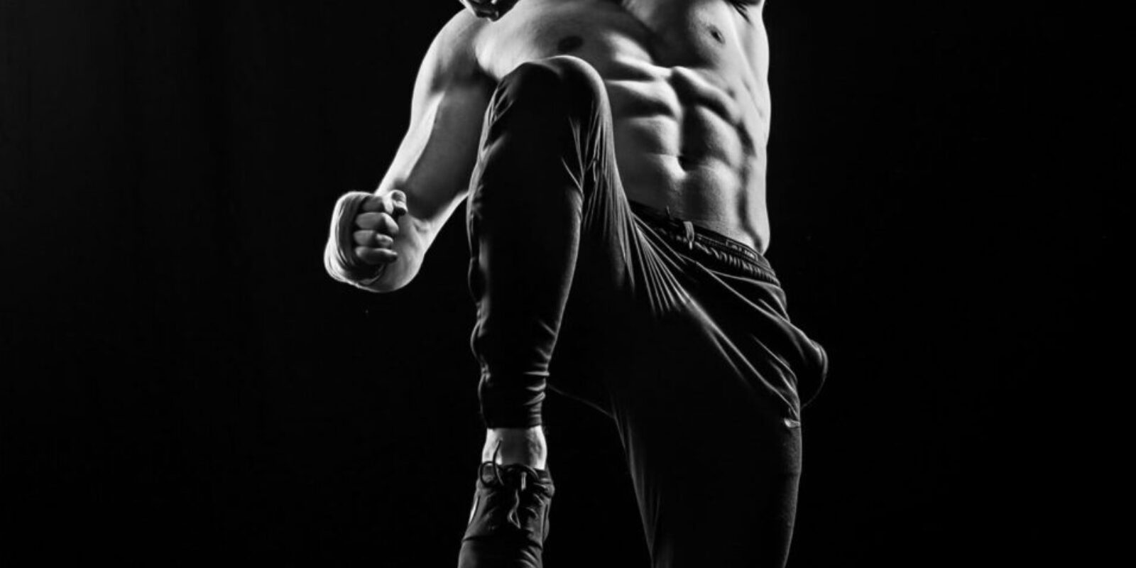 fighter